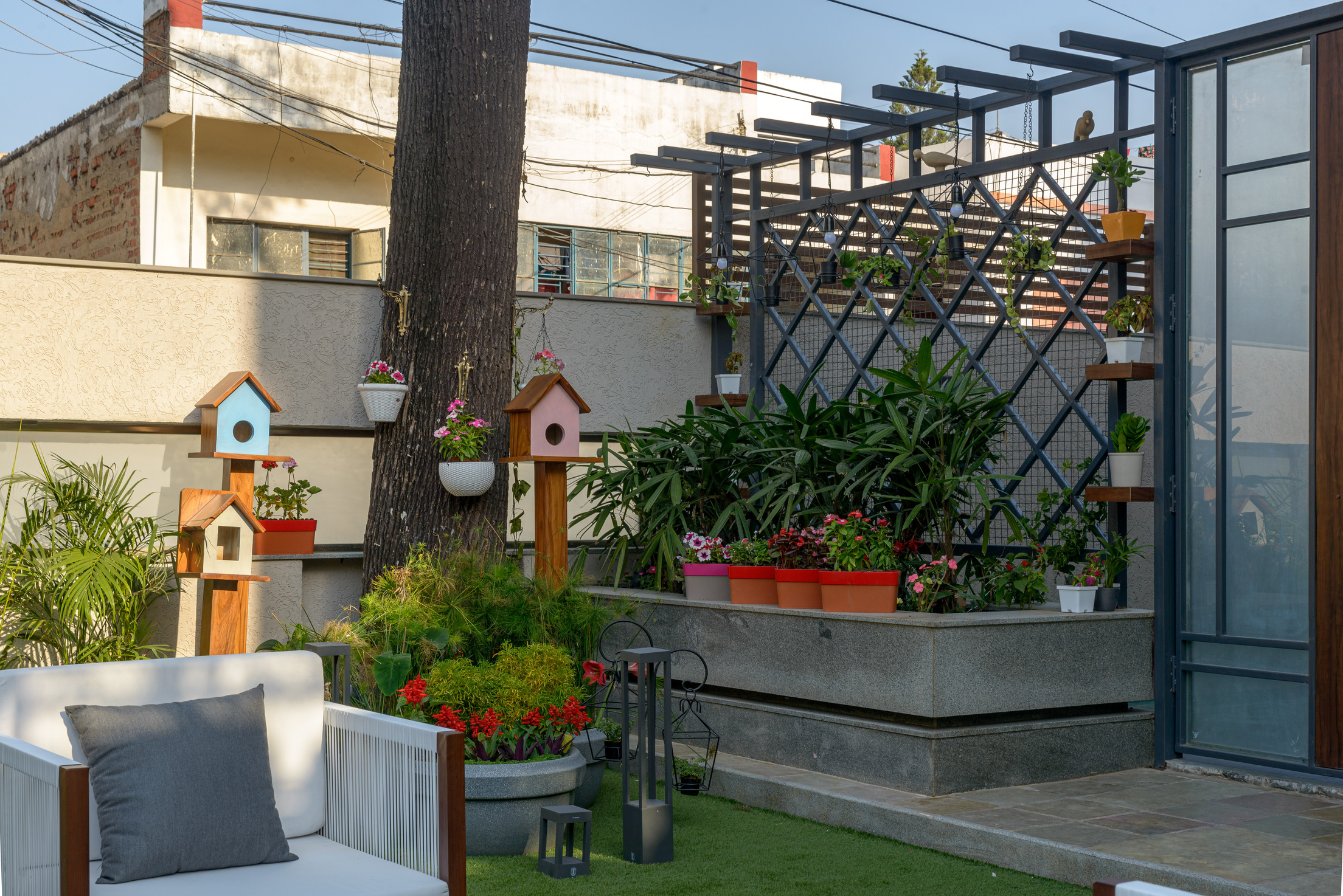 Zira Collection Item